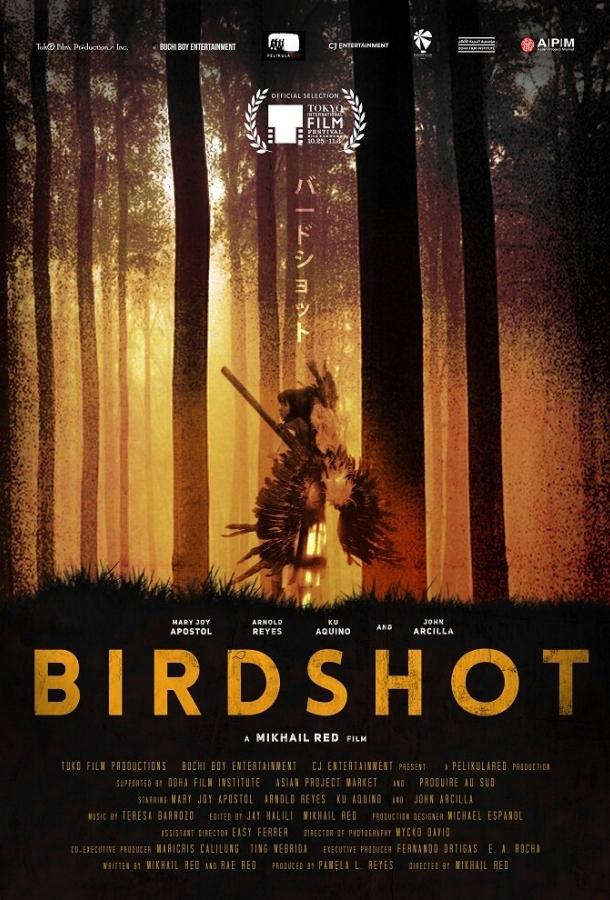 Постер к Дробь (2016)
