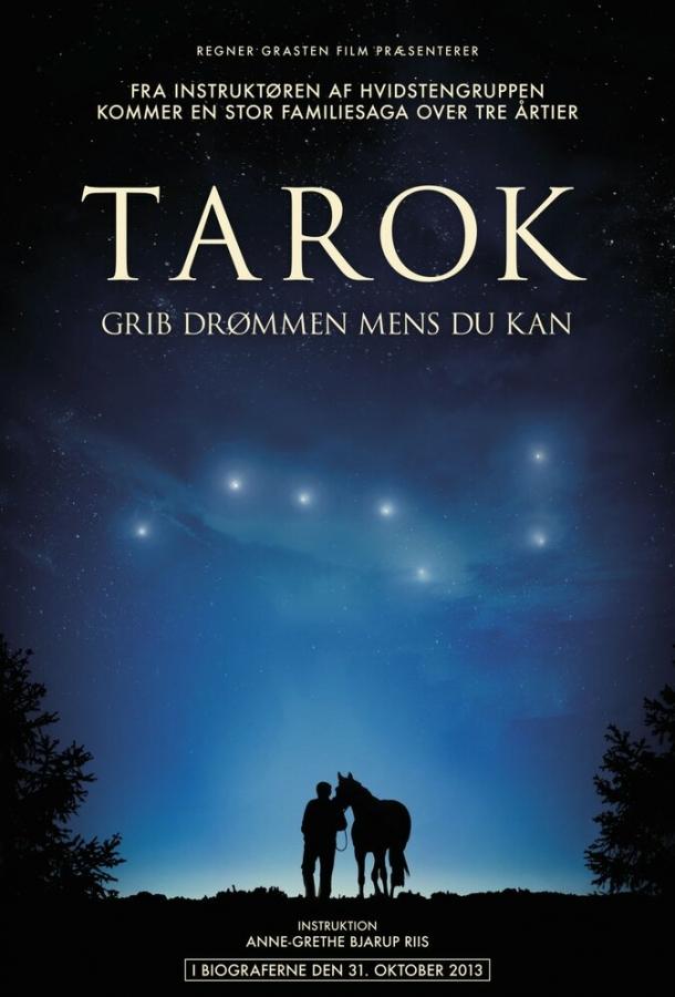 Постер к Поймать мечту (2013)
